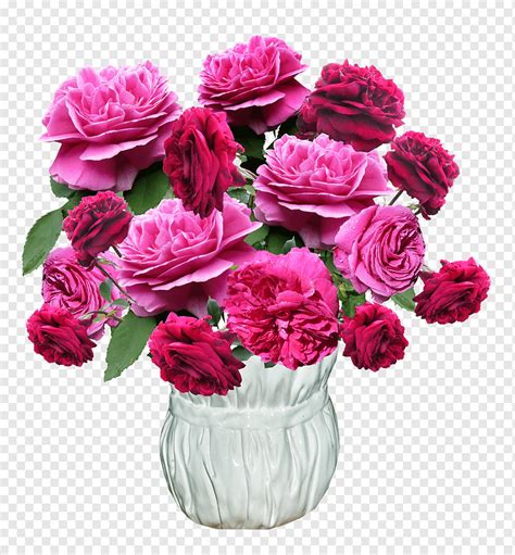 Vase, Roses, Red, Pink, Arrangement, png | PNGWing