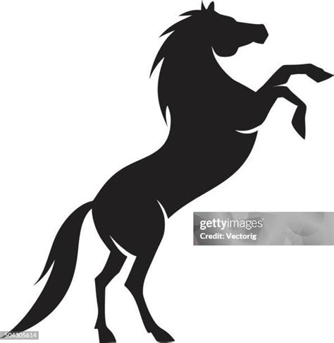 Arabian Horse Silhouette Vector Photos and Premium High Res Pictures - Getty Images