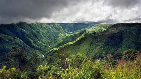 Wildlife & Nature Trail of Meghalaya - 9 Nights & 10 Days Tour