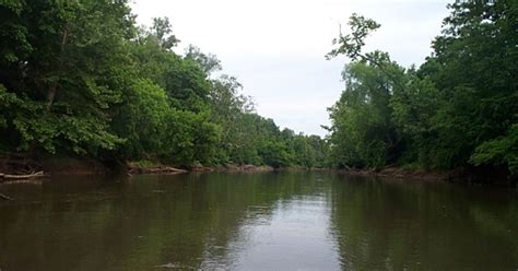 Neuse River Fishing Report - Oriental, North Carolina