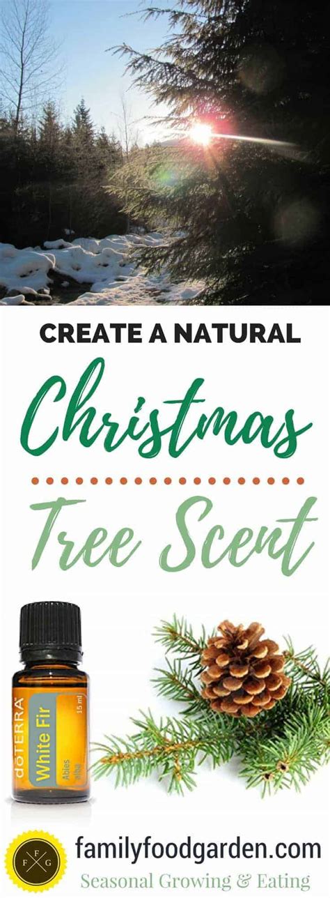 How to Get that Natural Christmas Tree Smell (without a real tree) - Family Food Garden