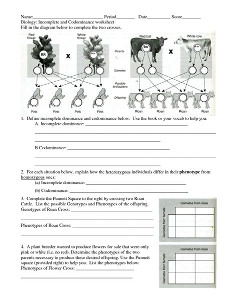 Complete Dominance Mendelian Genetics Worksheets