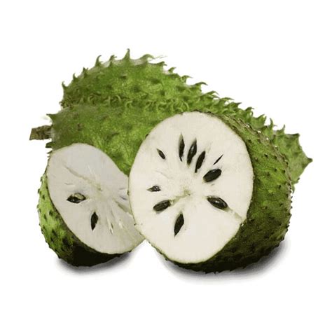 DURIAN BELANDADurian Belanda – Selangor Fruit Valley