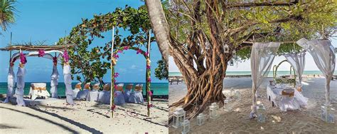 Africa Beach Wedding Guide - AfricanMecca Safaris