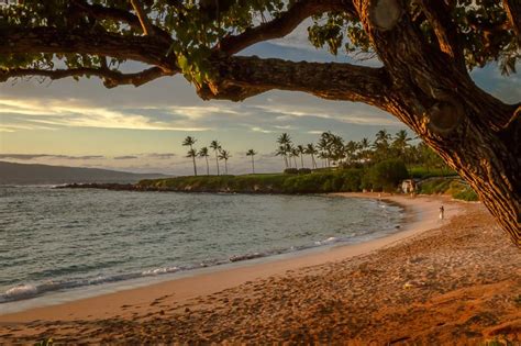 Spectacular Sunset Kapalua Bay - David Reimann Photography