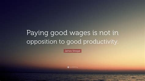 James Sinegal Quote: “Paying good wages is not in opposition to good productivity.”