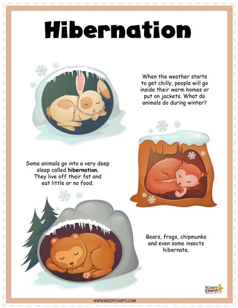 Hibernating Animals Activity Sheets - kiddycharts.com