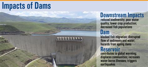 Conservation: Good news, more damnable dams gone - Fly Life Magazine