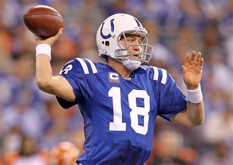 Michael Vick or Peyton Manning? Predicting MVP and Other NFL Awards ...