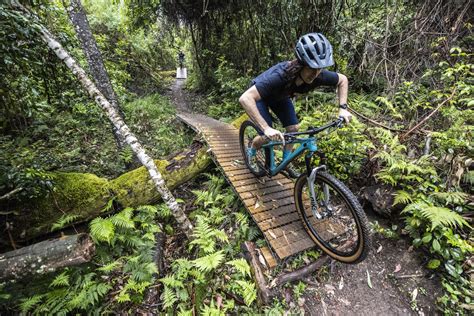 Happy trails: Narooma mountain bike trail network to grow to more than ...