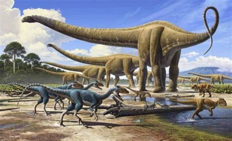 Dinosaurs with the longest necks – Mamenchisaurus | DinoAnimals.com