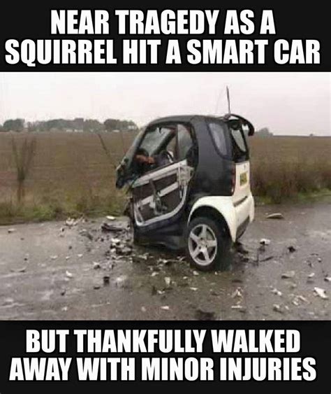 Smart car accidentally hits a squirrel, but don't worry, the squirrel is just fine. - RealFunny