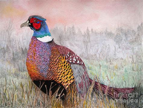 Pheasant Dawn Painting by Yvonne Johnstone