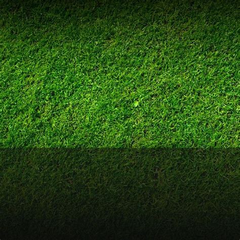 Free Green Grass PowerPoint Background | Powerpoint background templates, Powerpoint, Background