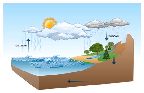 Ciclo del Agua Jeopardy Template