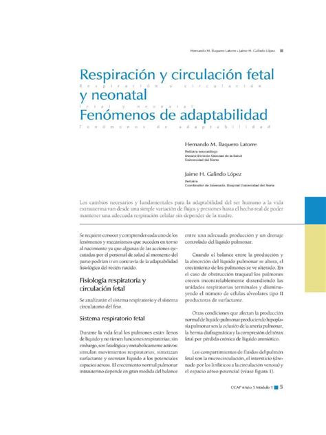 Circulacion Fetal | PDF