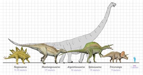 Dinosaurs | ClearlyExplained.com