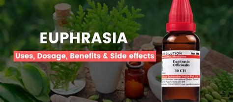 Euphrasia 30, 200, 1M, Q - Uses, Benefits & Side Effects