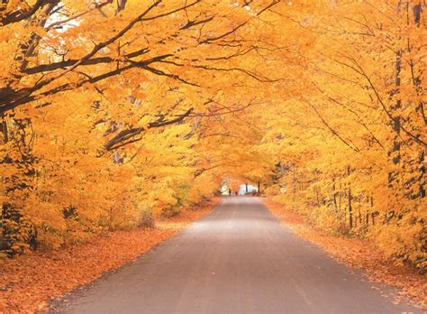 A Fall Weekend in Vermont’s Green Mountains - TravelLatte