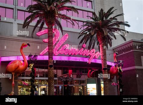 Las vegas flamingo hotel casino - ndestory