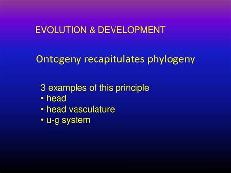 PPT - Ontogeny recapitulates phylogeny PowerPoint Presentation, free ...