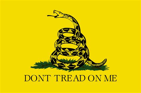 The Gadsden Flag | English Language Blog