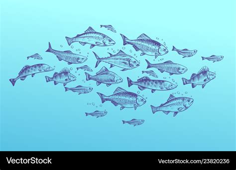 Fish school fishes group hand drawn sketch Vector Image