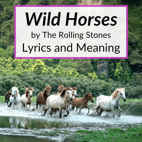 "Wild Horses" Lyrics & Meaning (The Rolling Stones)