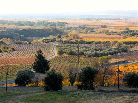 Languedoc Travel Guide: This Southern French Region Is a Must-Visit Wine and Seafood Destination