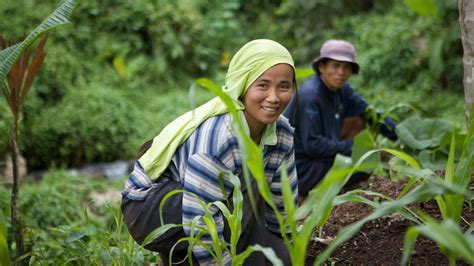 ADB to Help Boost Farm Incomes in the Philippines with $400 Million Loan | Asian Development Bank