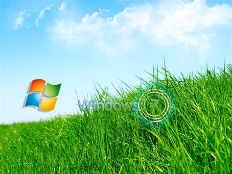 Wallpapers Box: Windows 7 Green Bliss High Definition Wallpapers ...