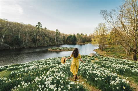 Twenty Places To Find The Spring Flowers | Connecticut Charm - Live Lovely Photography