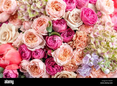 Close-up Large Beautiful bouquet of mixed flowers. Flower background ...