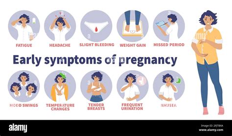 Early signs and symptoms of pregnancy vector infographic. Morning sickness, mood swings, nausea ...