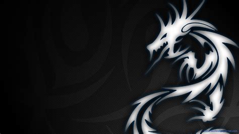 🔥 [50+] Kali Linux Wallpapers 1920x1080 | WallpaperSafari