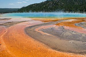 Grand Prismatic Spring Facts for Kids