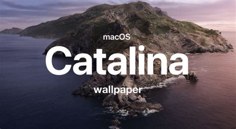 Download macOS Catalina Stock Wallpaper (Dark & Light) for Any Device