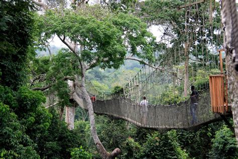 Kakum National Park (Official GANP Park Page)