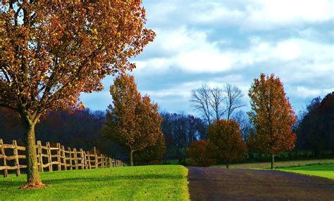 Only in Bucks County!: Only in Bucks County: Early Autumn