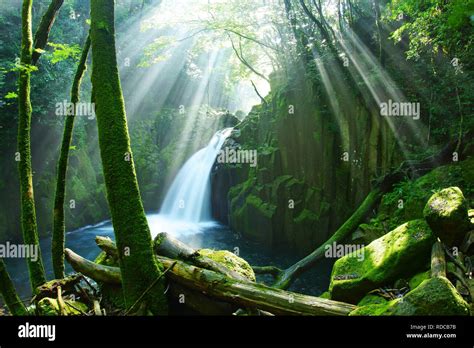 Kikuchi Gorge, Kumamoto Prefecture, Japan Stock Photo - Alamy