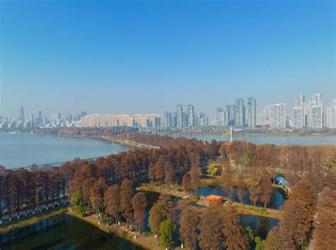 Autumn Scenery of Wuhan East Lake Wetland Park Scenic Area Stock Image ...