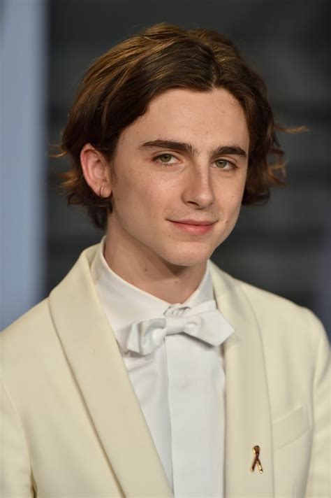 Timothée Chalamet as Laurie | Little Women 2019 Movie Cast | POPSUGAR ...