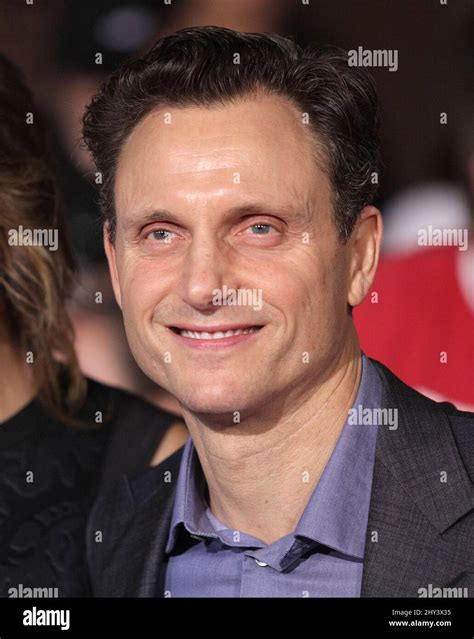 Tony Goldwyn attending the 'Divergent' Premiere in Los Angeles Stock ...