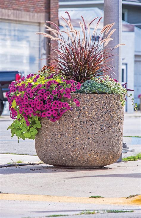 Concrete Planters Section