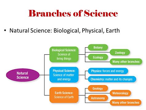 Explore to Koh's Science World ( Blog Sains): Bidang Sains