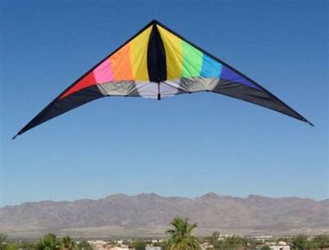 Stunt Sport Kite - Tumbleweeds & Tarantulas LLC - Kites for All Ages ...