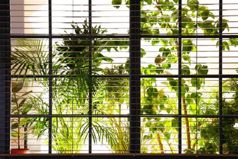 Window View Nature Images – Browse 741,335 Stock Photos, Vectors, and Video | Adobe Stock