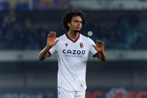 Arsenal, favorite to sign Joshua Zirkzee from Bologna - Premier News