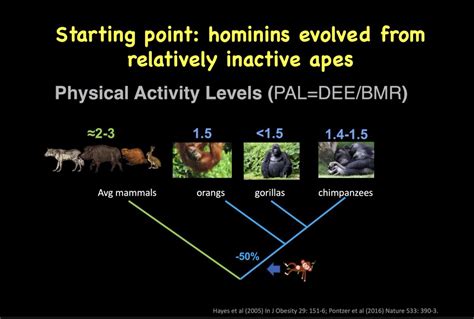 Discover and read the best of Twitter Threads about #hominin