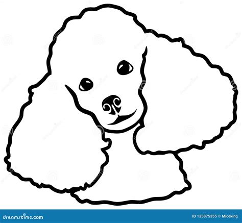 Poodle head silhouette stock vector. Illustration of poodle - 135875355